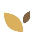 graphics of leafs