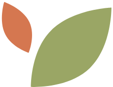 green-orange-graphics